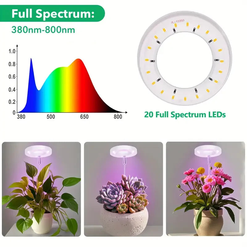 lampe led plante réglable hauteur blanc moderne piquet câble usb contrôle multi fonction 8h