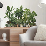 sticker mural plantes pots feuilles diverses moderne minimalisteintérieur décoration vert marron beige blanc