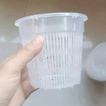 pot plante transparent moderne grille drainage plateau support lignes verticales plastique