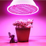 ampoule led full spectrum 60 80 leds e27 e14 gu10 moderne croissance plantes abs