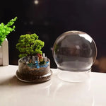vase verre transparent terrarium miniature décoration arbre figurines fleurs