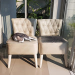 filet anti chat animaux jardin noir maille régulière dissuasion extérieur pragmatique fixations