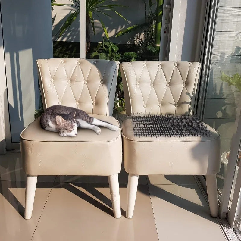 filet anti chat animaux jardin noir maille régulière dissuasion extérieur pragmatique fixations