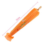 parapluie traditionnel artisanal japonais fleurs feuilles peintes main poignée bois rouge orange bleu violet