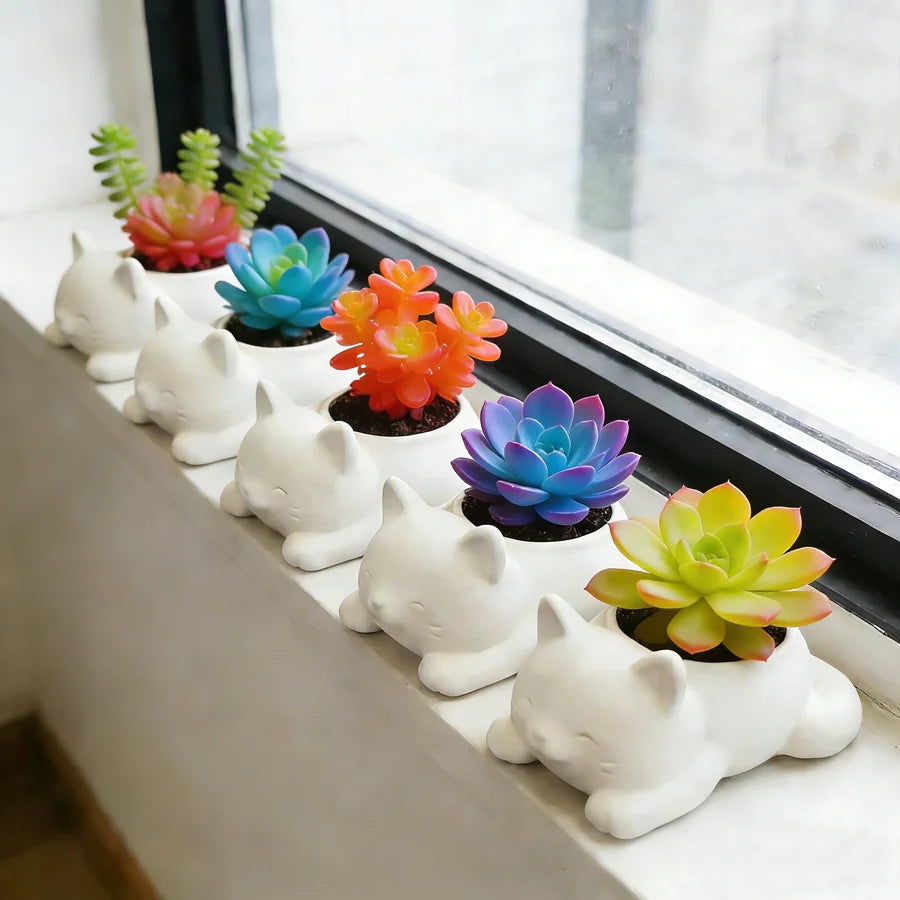 cache pot forme chat blanc noir gris moderne plante succulente doux mignonintérieur decoration