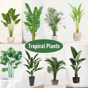 stickers muraux feuilles plantes tropicales deco moderne minimalisteintérieur vert marron beige gris blanc