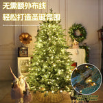 Vue rapprochée des branches du sapin de Noël chiffré