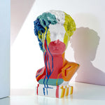 statue résine david tête buste moderne blanc noir multicolore styled sculptural