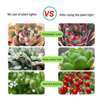 ruban led flexible rose blanc croissance plante usb alimentation 12v 5v 1m 2m 3m