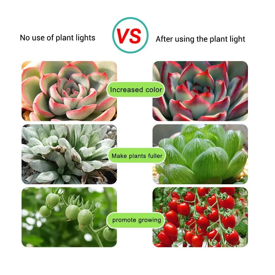 ruban led flexible rose blanc croissance plante usb alimentation 12v 5v 1m 2m 3m