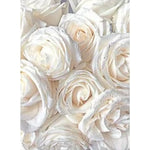 tableaux moderne floral brillants fleurs rose pâle blanc beige salon chambre décoration maison