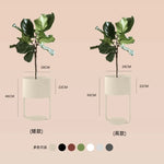 Étagère à plantes argentée, design épuré pour verdir votre espace