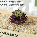 plantes succulentes artificielles décoration maison extérieur bonsaï feuilles pointues rouge vert rose bleu violet