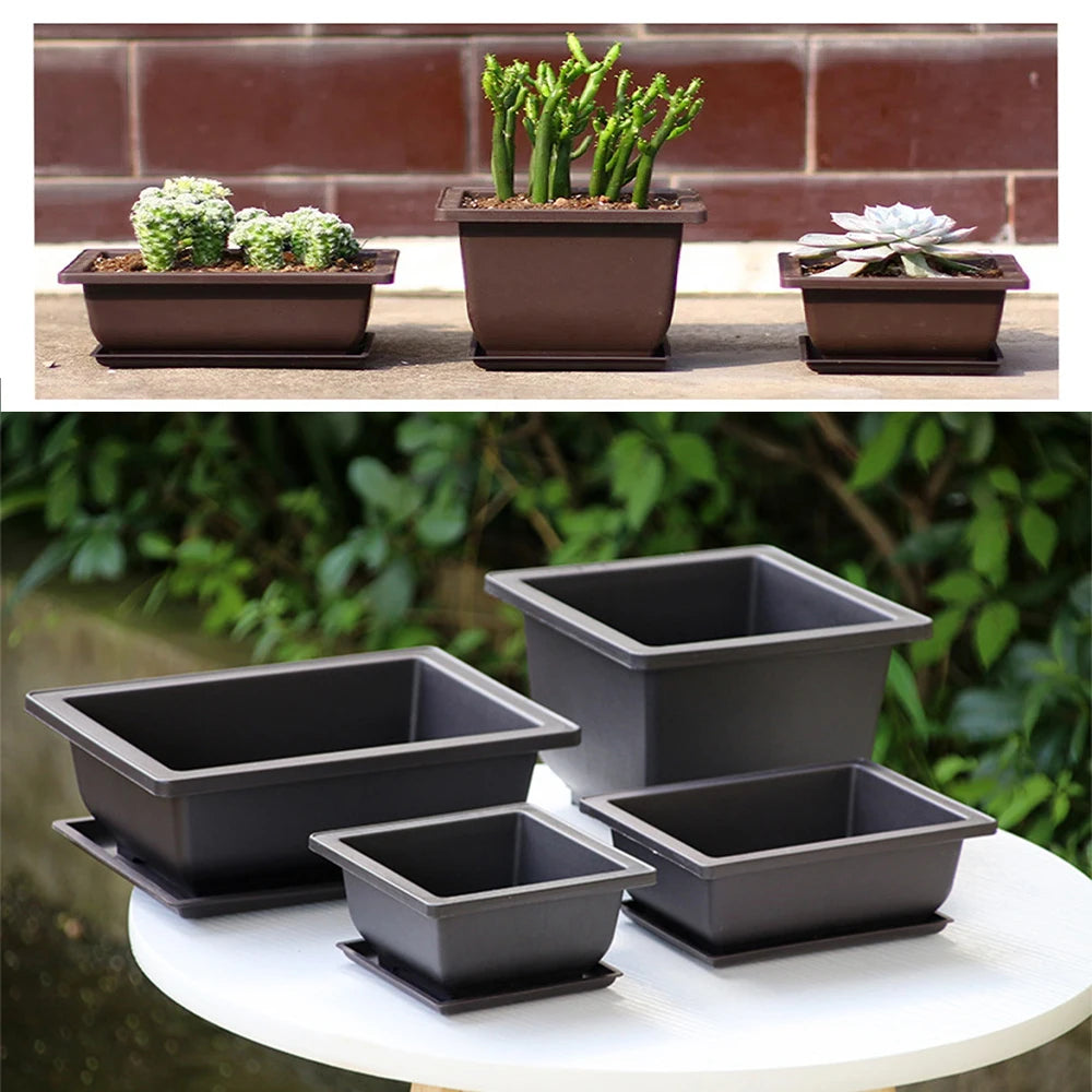 pots plantes noirs moderne plateaux drainage grilles supports intérieurs succulentes fleurs vertes bureaux