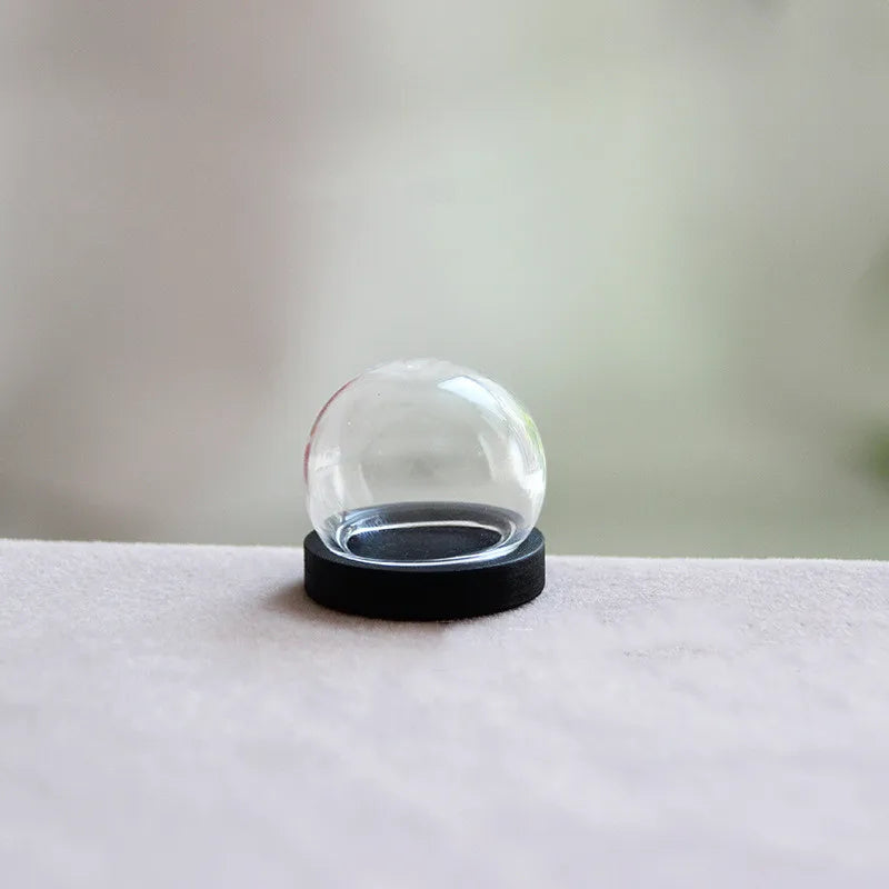 vase boule verre transparent base bois couvercle fleurs séchées