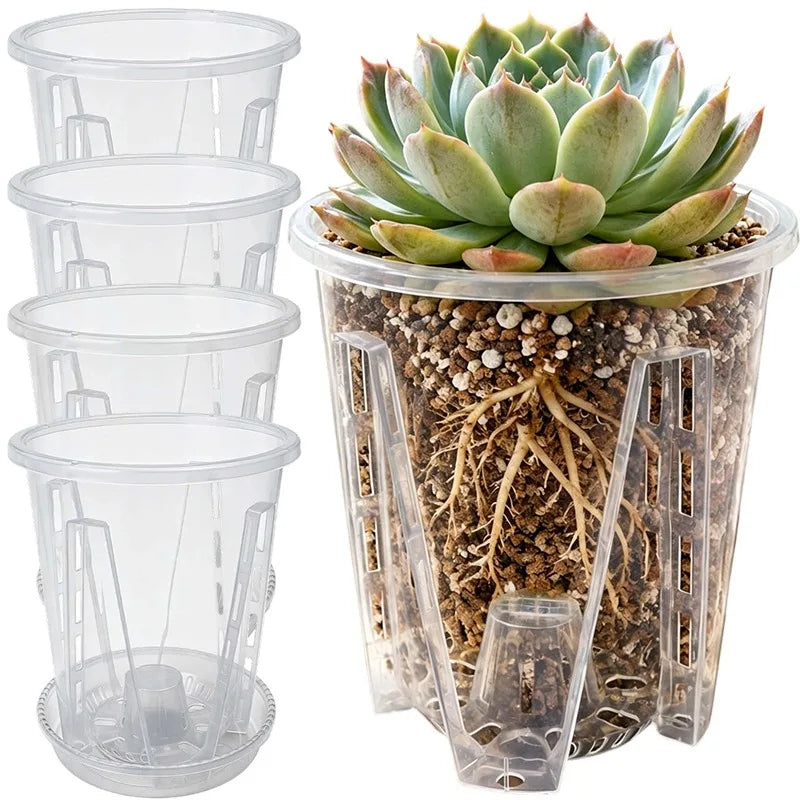 pot plante transparent moderne grille drainage taille moyenne large extra large