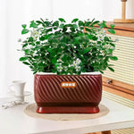 pots fleurs auto arrosants marron blanc texturés moderne jasmin plantes