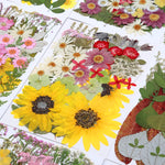 fleurs séchées multicolores naturelles variées feuilles séchées décor maison artisanat enfant autocollants journal