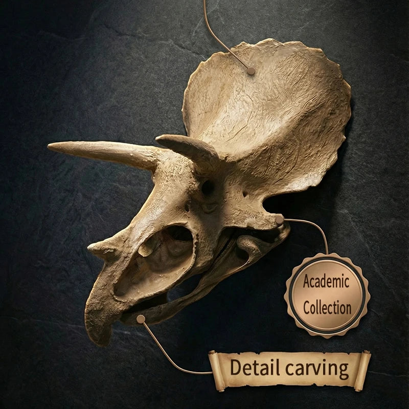 décoration murale crâne dinosaure triceratops réaliste résine beige gris clair scientifique erotique