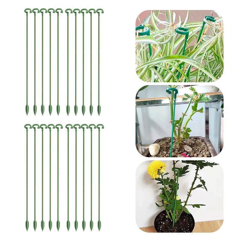 tiges soutien plantes vertes clips anti lodging moderne pot fleurs réutilisables 17cm 27cm 37cm