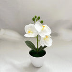 décoration intérieure orchidée artificielle blanche fleurs roses feuilles vertes moderne