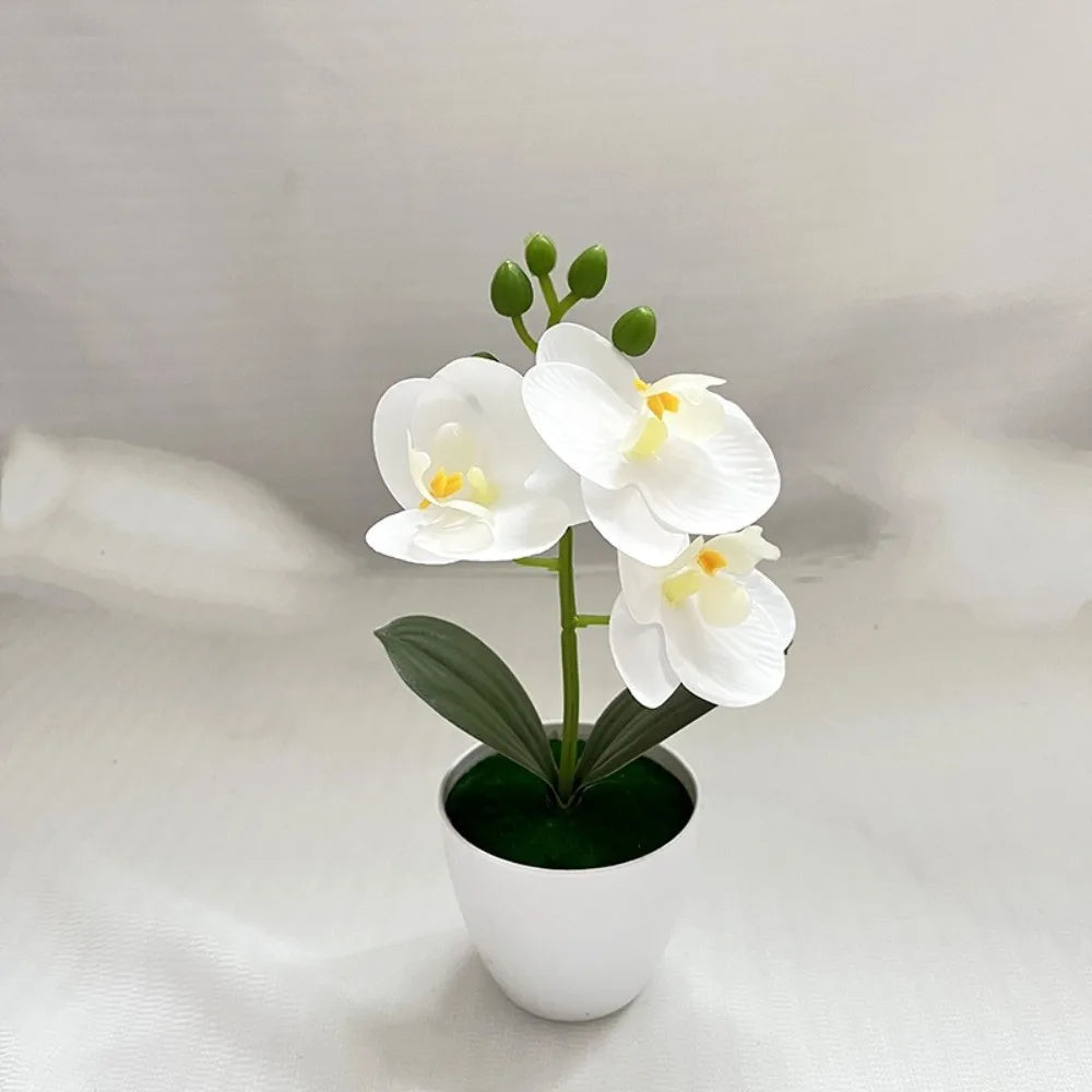 décoration intérieure orchidée artificielle blanche fleurs roses feuilles vertes moderne