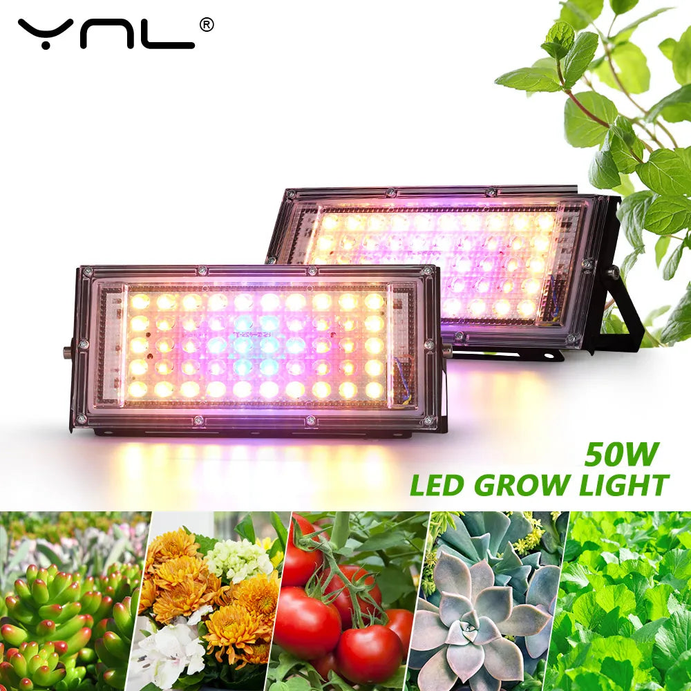 lumière croissance plante led full spectrum rouge violet jaune verte moderne