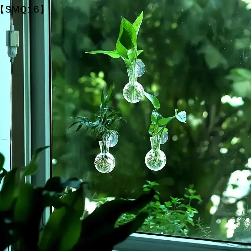 vases suspendus verre transparent adhésifs modernes minimalistes decoration intérieure plantes naturelle ambiance relaxante 3pces