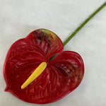 fleurs artificielles anthurium modernes multiple couleurs intérieur décoration mariage événements