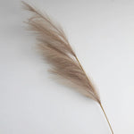 décoration mariage boho herbe pampas artificielle 100cm plumes séchées naturel rustique intérieur anniversaire