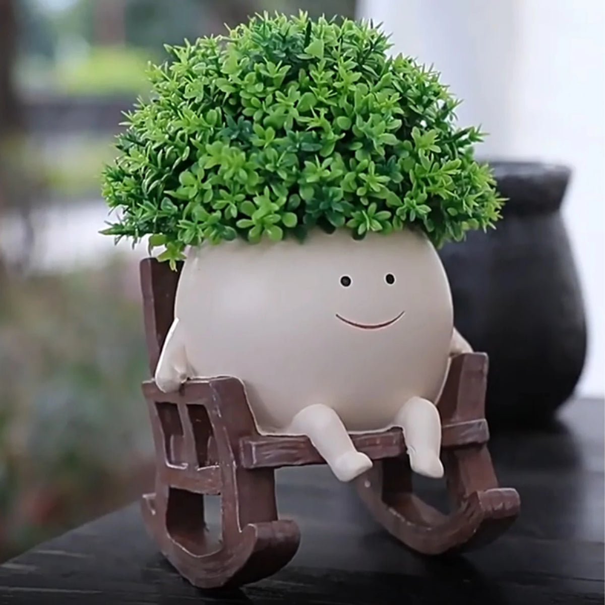 cache plantes succulentes chaise bascule visage souriant feuilles blanc