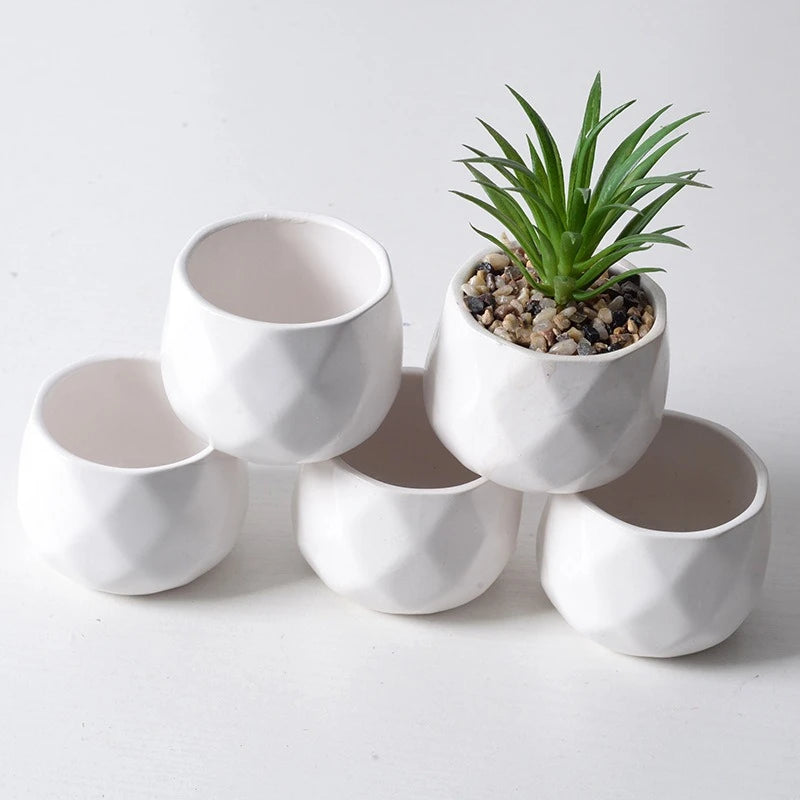 pots fleurs céramique blanc modernes minimalistes succulentes decoration intérieure jardinière