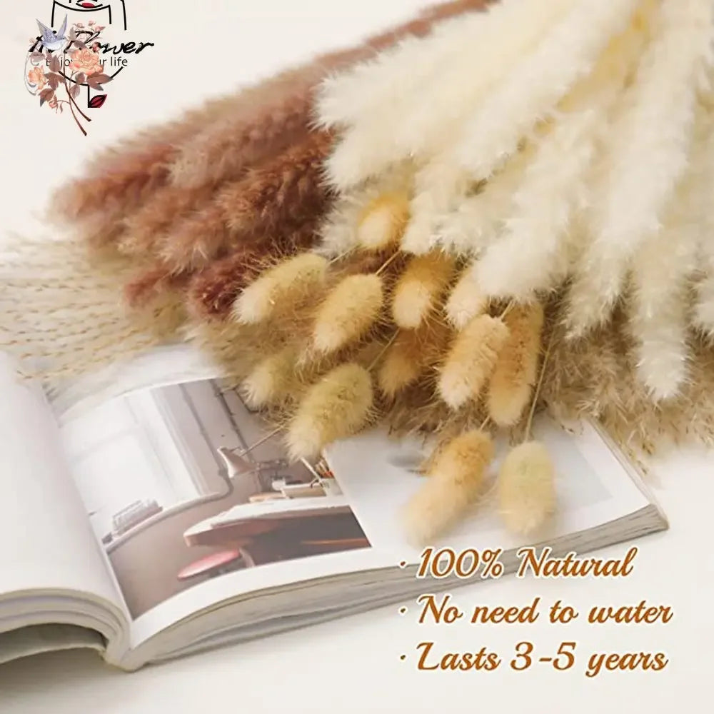 bouquet fleurs séchées plumes pampa beige blanc naturel rustique décoration intérieur mariage anniversaire fête