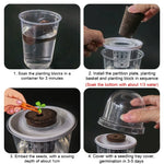 Pot plante moderne auto arrosant transparent controle racines drainage ornemental fleuri
