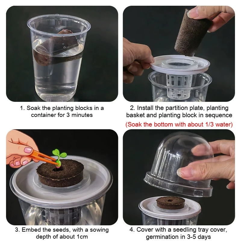 Pot plante moderne auto arrosant transparent controle racines drainage ornemental fleuri