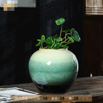 Vase en céramique verte avec plantes vertes en pot.