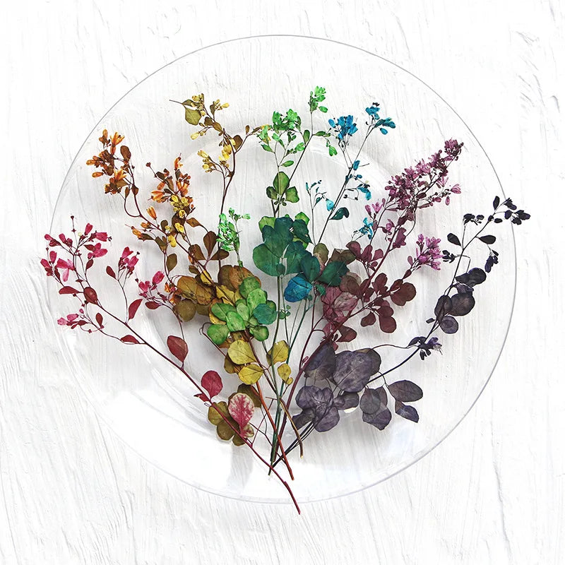 bouquet fleurs séchées multicolores feuilles fleurs petites naturelle rustique intérieur décoration maison anniversaire baby