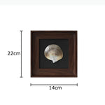 décoration murale coquilles naturelles classiques cadre brillant noir marron salon chambre affichage ornement traditionnel