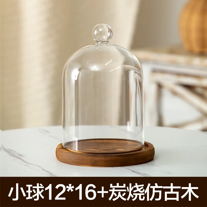 cloche verre transparent base bois bougie parfumée pinçon décoratives