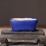 bol traditionnel décoré fruits pommes paysage motifs ondulés blanc orange bleu