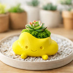 pots fleurs forme nuage souriant couleurs blanc rose jaune mignon cartoon succulente mousse