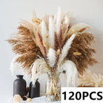 bouquet pampas séchés décoration bohème blanc beige vases différents mariage anniversaire