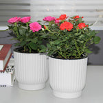 pot fleur hydroponique auto arrosage moderne blanc rayures verticales plante verte intérieur