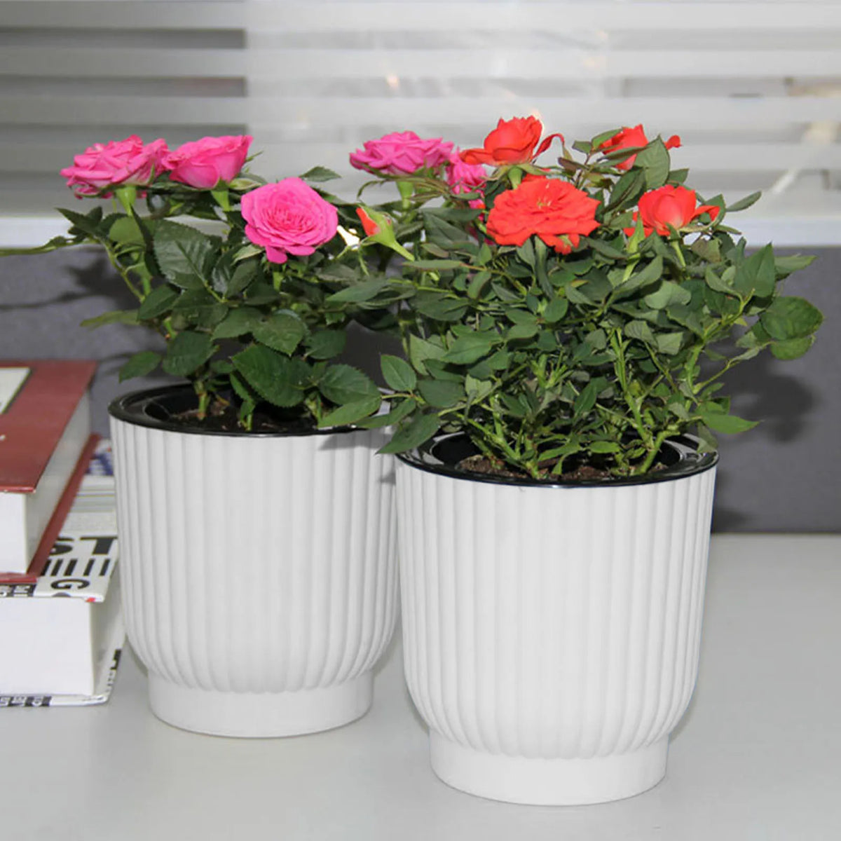 pot fleur hydroponique auto arrosage moderne blanc rayures verticales plante verte intérieur
