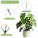 support plante grimpante vert moderne clips ficelle ruban nylon inclusion set jardin fixations