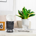 pots fleurs transparents gris rayures verticales moderne arrangement floral intérieur auto arrosage bambou porte