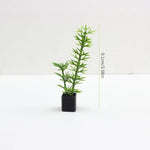 décoration intérieure plante artificielle fleurs feuilles pot terre cuite galets blancs moderne minimaliste