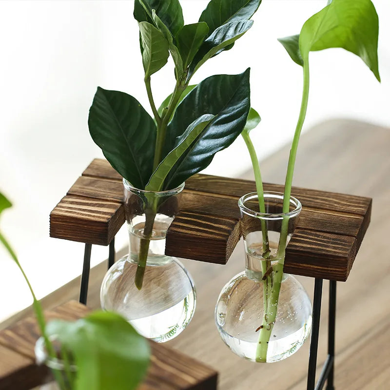 vase verre transparent support bois industriel moderne plante hydroponique décoration intérieure minimaliste