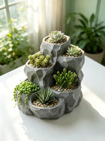 jardin moderne pot géométrique gris succulentes plusieurs compartiments plante verte minimaliste