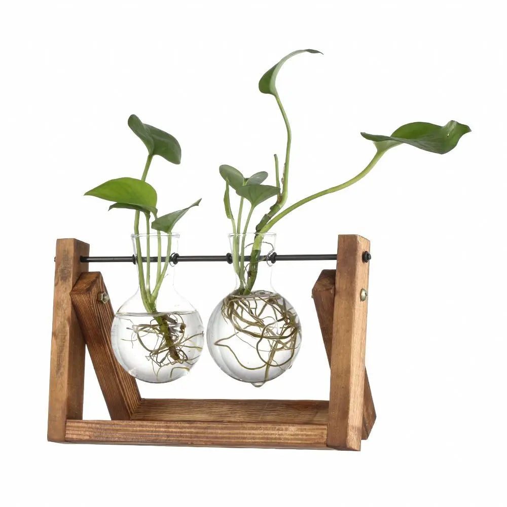 Support plantes suspendues vase verre transparent clips métalliques bois naturel moderne minimaliste